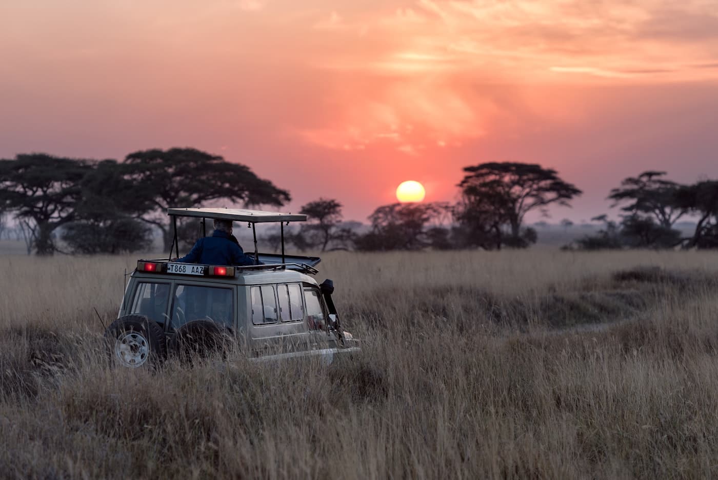 Morning Game Drive