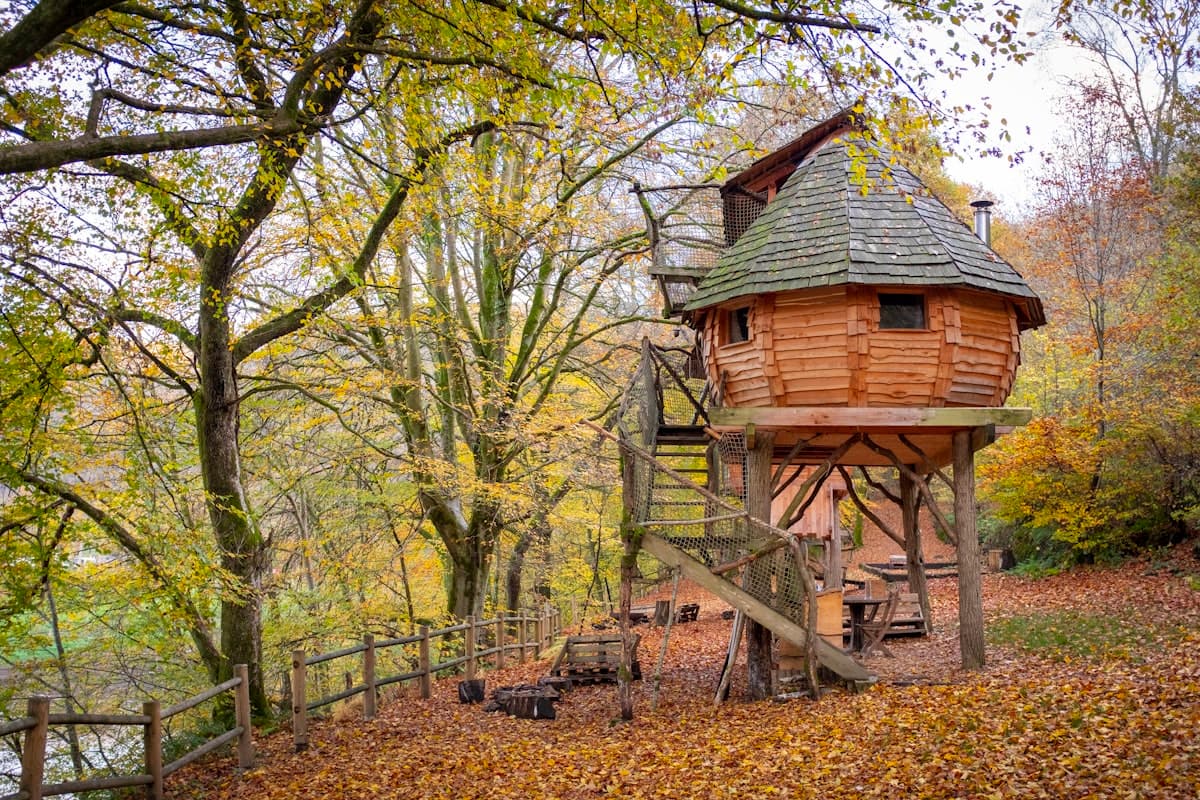 Canopy Retreat